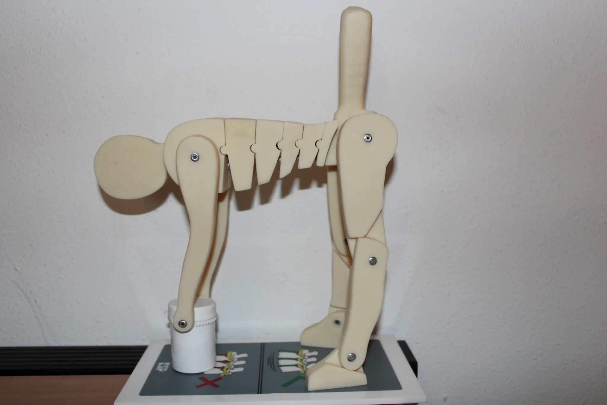 Modèle articulé illustrant une posture de levage