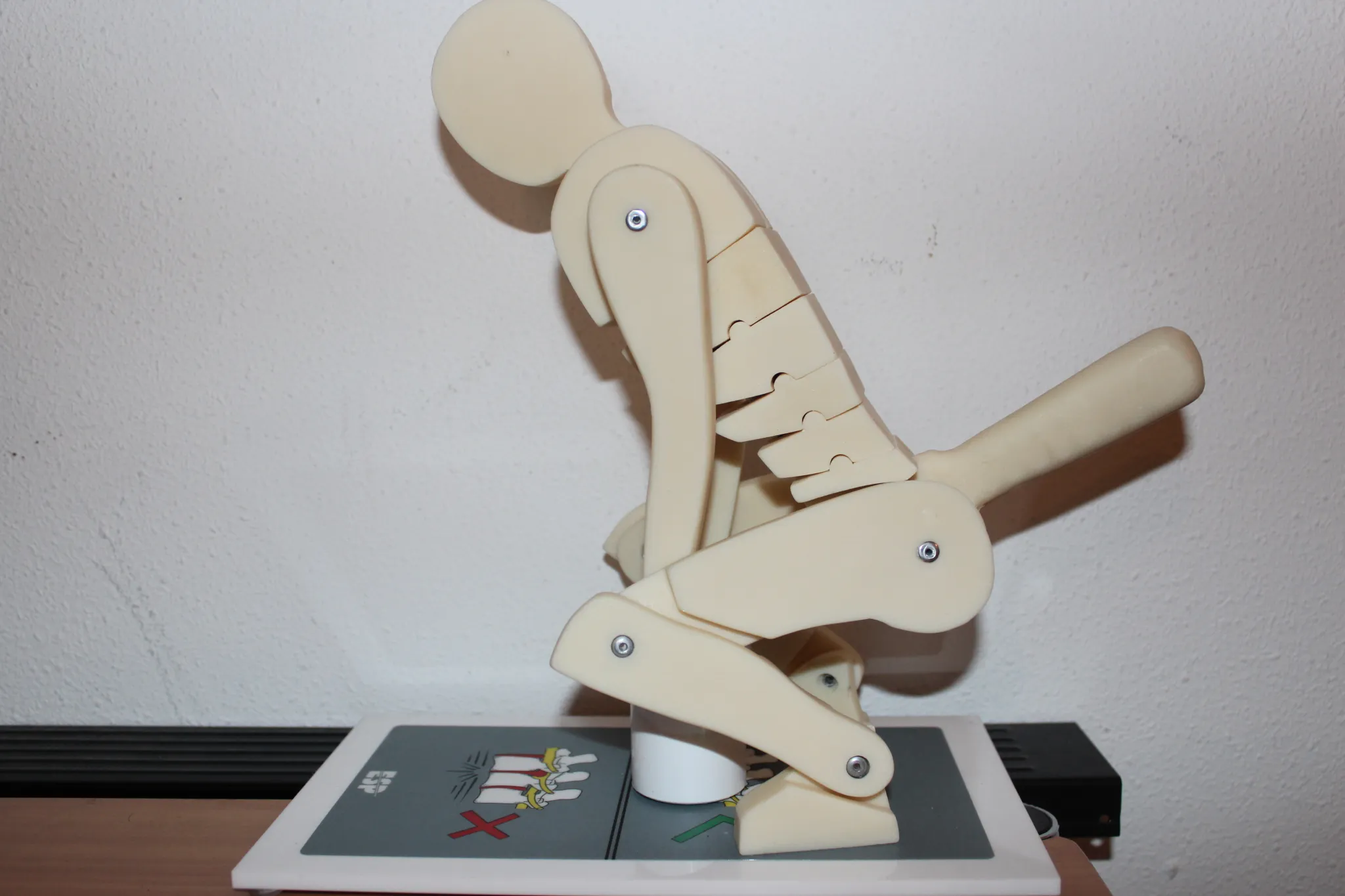 Modèle anatomique illustrant une posture de levage